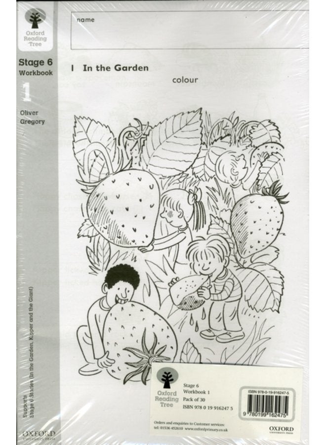 Oxford Reading Tree Level 6 Workbooks Workbook 1 Pack of 30 - Paperback
