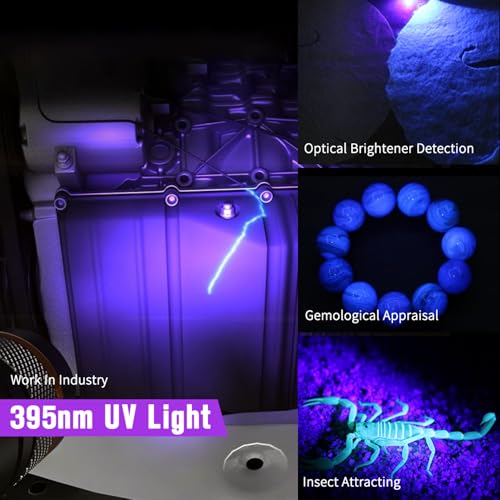 NICRON B75 High Power UV Flashlight Rechargeable LED 1000 Lumens 395nm Ultraviolet, 90 Degree 4 Modes Flashlight with Magnetic Base IP65 Waterproof for Camping Outdoor Night Walking Urine Detector - Image 5