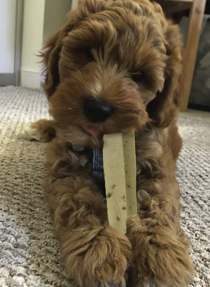 Himalayan Dog Chew Peanut Butter Large 93.6g - Image 3