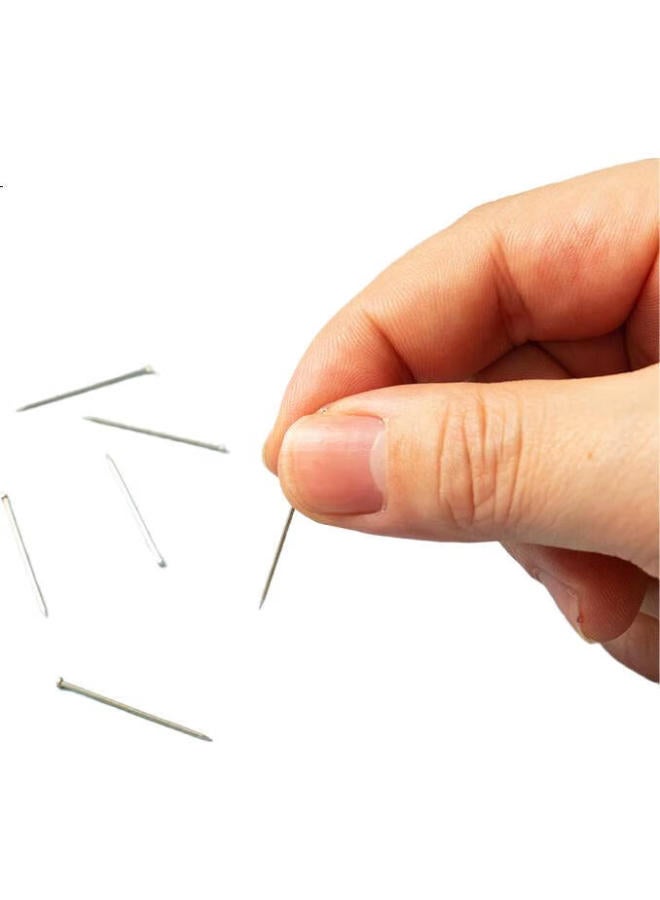 M.G Chenguang (M&G) Stationery, No. 3 Nickel-Plated Large Head Pins, Clothing Cutting Position Pins, Office Fixing Pins, 100G/Tube, Abs92601, Back-To Essential - Image 1