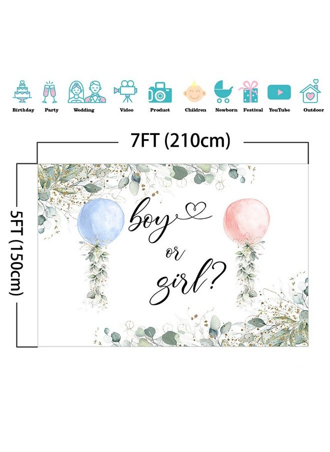 Mocsicka Watercolor Blue Or Pink Balloons Backdrop Greenery Boy Or Girl Gender Reveal Background Botanical Eucalyptus Gender Reveal Party Cake Table Decoration Banner Photo Booth Props (7X5Ft)  - Image 5