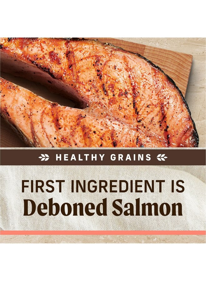 ميريك طعام جاف ممتاز للكلاب البالغة من Merrick Healthy Grains، طعام صحي وطبيعي مع سمك السلمون والأرز البني - كيس 4.0 رطل - Image 4