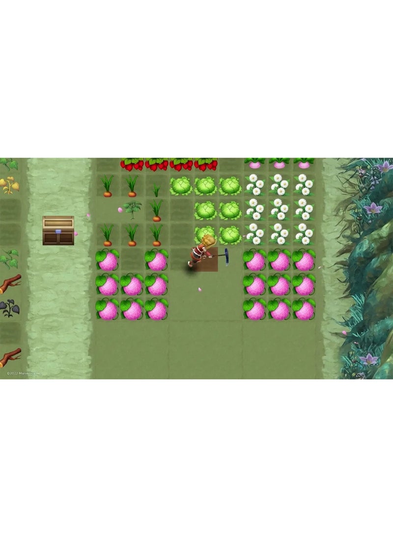 SWITCH 0 Rune Factory 3 Special - Nintendo Switch Version - Fantasy Farming RPG Simulation Game - Image 4