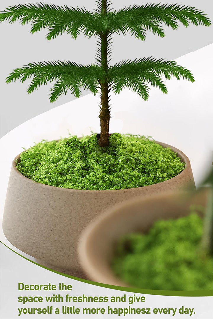 Generic Artificial Moss Grass Natural Fake Grass Faux Garden False Moss Decor for Centerpieces DIY Moss for Potted Plants Home Kitchen Garden Preserved Forest Perfectly Simulates （100g- Light Green）  - Image 2