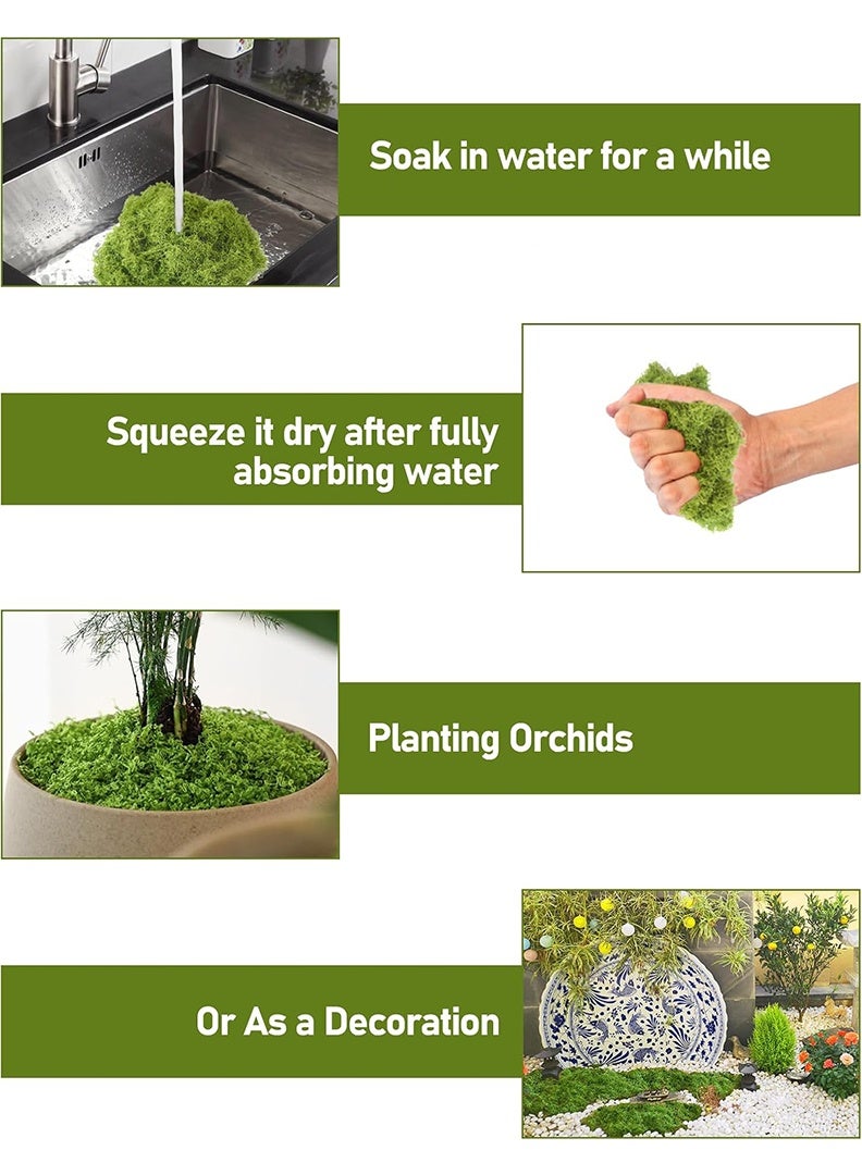 Generic Artificial Moss Grass Natural Fake Grass Faux Garden False Moss Decor for Centerpieces DIY Moss for Potted Plants Home Kitchen Garden Preserved Forest Perfectly Simulates （100g- Light Green）  - Image 4