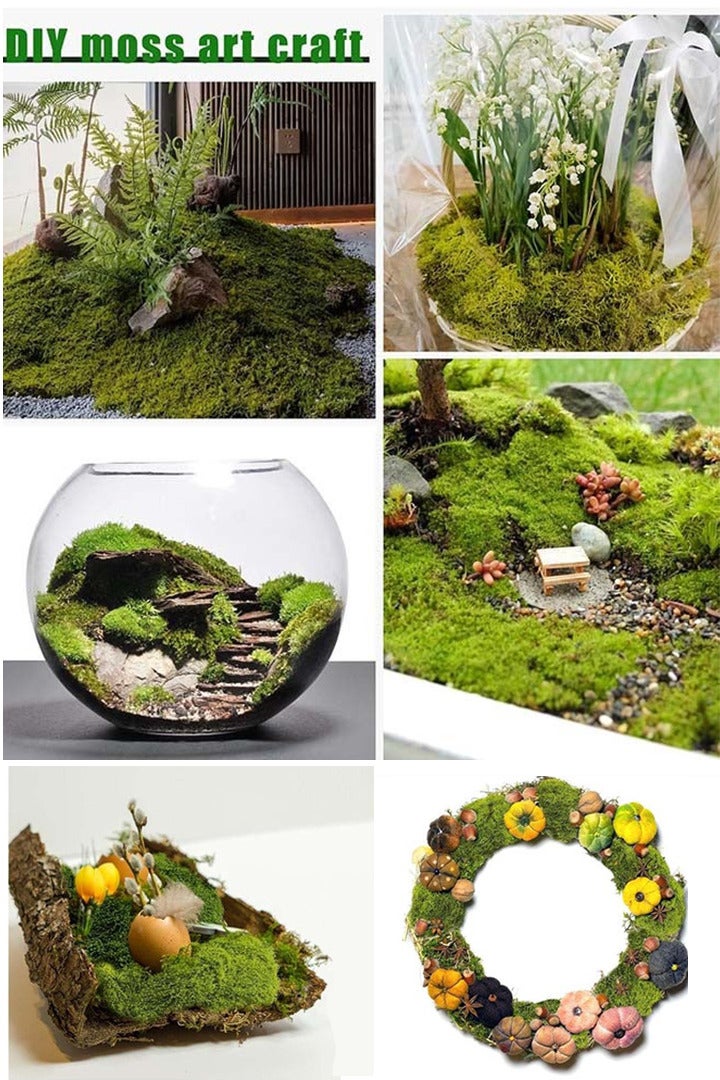 Generic Artificial Moss Grass Natural Fake Grass Faux Garden False Moss Decor for Centerpieces DIY Moss for Potted Plants Home Kitchen Garden Preserved Forest Perfectly Simulates （100g- Light Green）  - Image 5