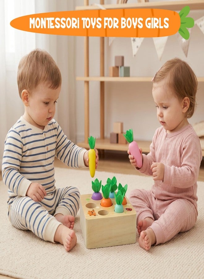 Wdmiya ألعاب خشبية تنموية من Wdmiya للأطفال بعمر سنة واحدة، من 6 إلى 12 شهرًا - Image 2