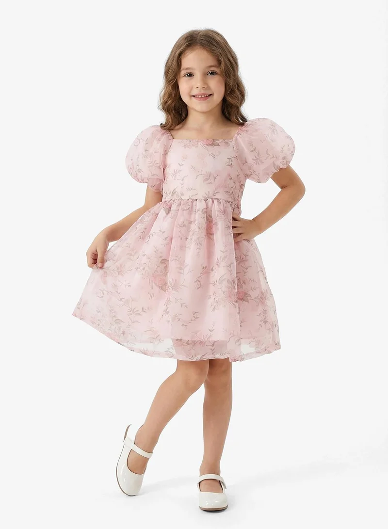 Pinata Occasion Dress
