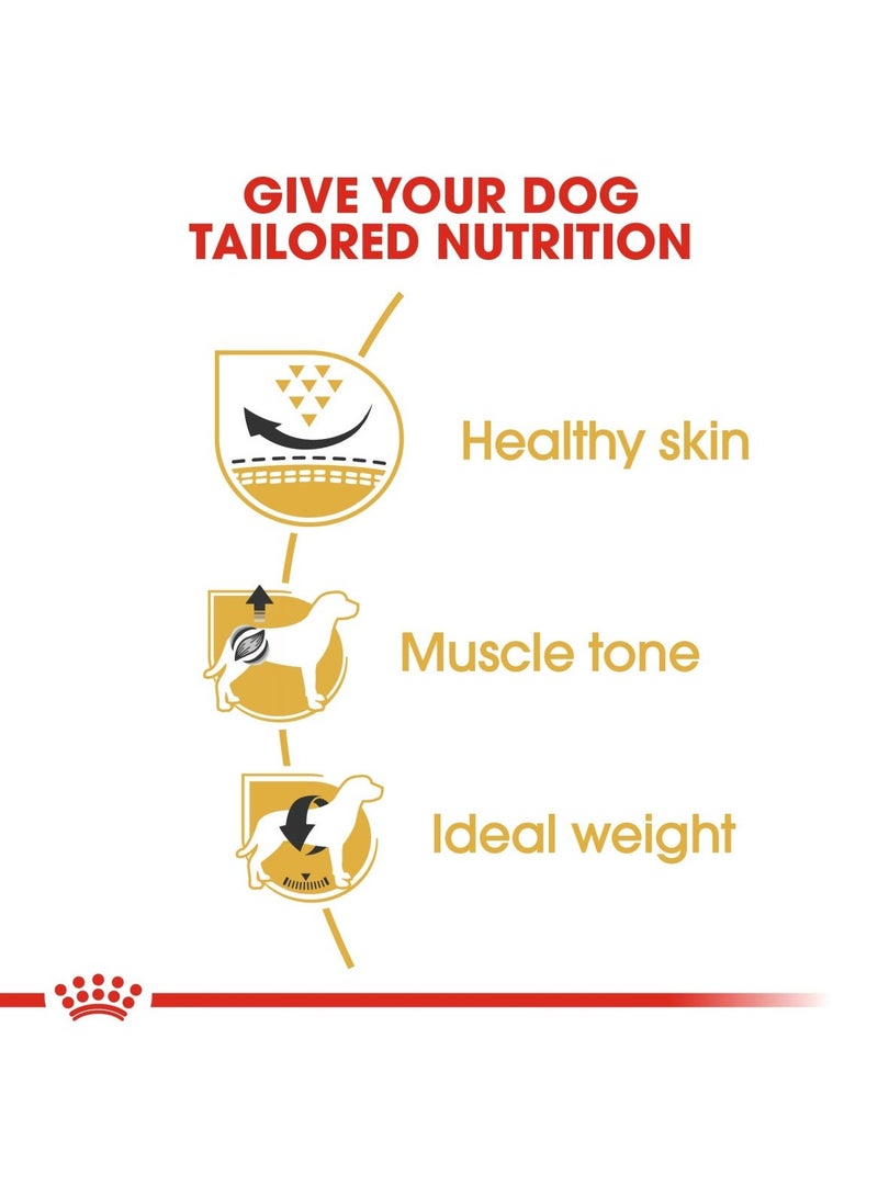 رويال كانين طعام رويال كانين الجاف للكلاب البالغة (10+ أشهر)، 1.5 كجم - Image 4