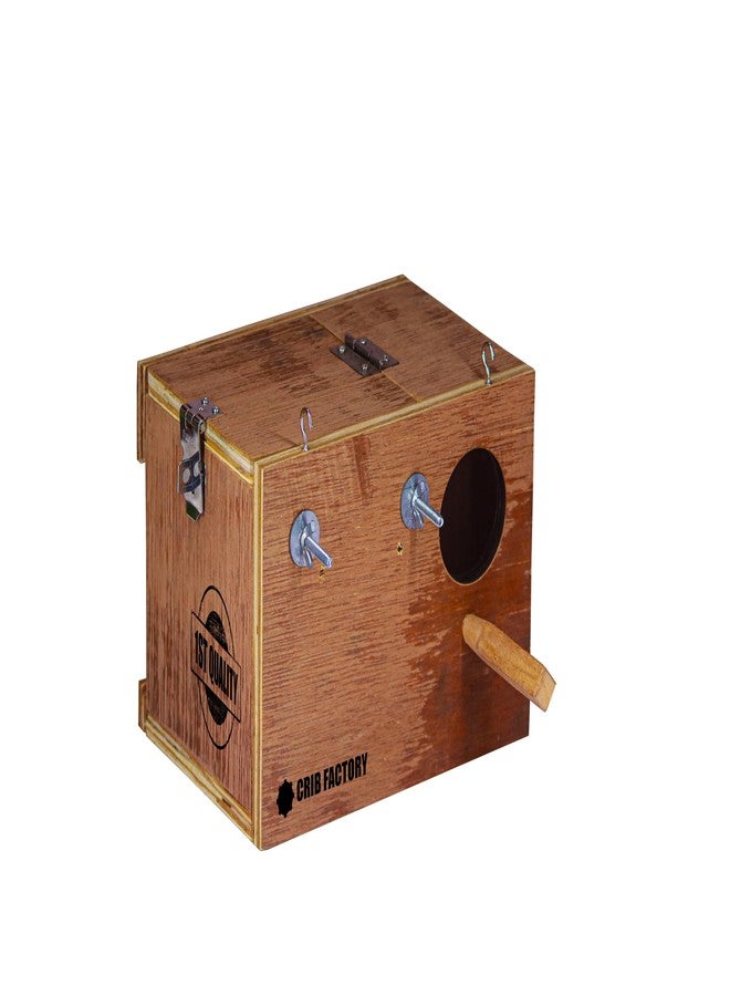 CRIB FACTORY | WOOODEN BREEDING Box for Budgies | ONE Side Transparent | 10x7x7 INCH - Image 3