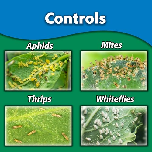 Monterey Horticultural Oil Bundled with Measuring Spoon - Treatment for Control of Insects - OMRI Listed - 1 Gallon - Image 2