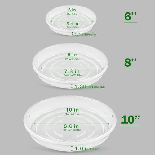 SupKing 9 Pack Plant Saucers (6inch /8inch /10inch), Heavy Sturdy Plant Trays Pot Tray for Indoor Clear Plastic Flower Pot Saucers Thicker Plant Water Drip Trays for pots- Clear - Image 2