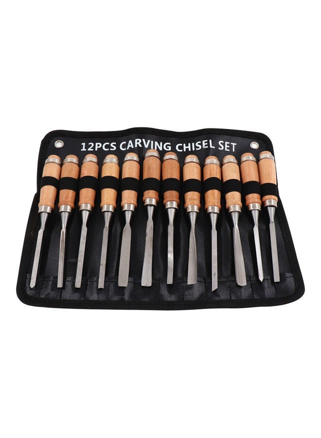 NIBEMINENT 12-Piece Wood Chisel with Cases Professional Carving Carpenter Tool Set Silver - Image 1