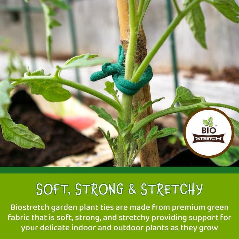 Biostretch Soft Plant Ties for House and Garden Plants - Environmentally Friendly Stretchy Green Plant Tape and Garden Twine Plant String (Green Bio Roll x 1) - Image 2