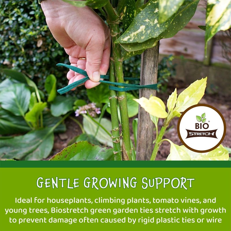 Biostretch Soft Plant Ties for House and Garden Plants - Environmentally Friendly Stretchy Green Plant Tape and Garden Twine Plant String (Green Bio Roll x 1) - Image 3