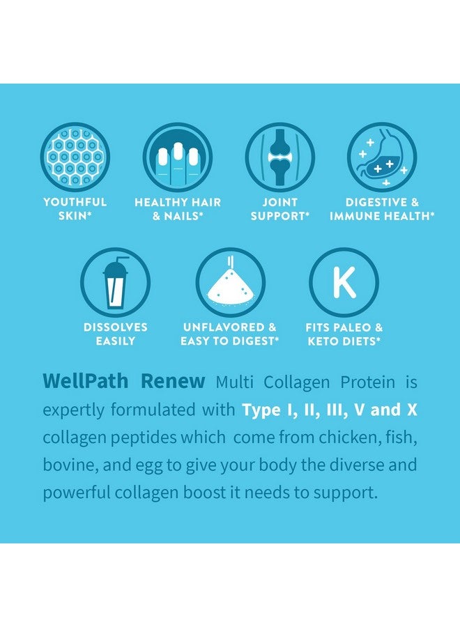 WellPath Renew Multi Collagen Protein Powder for Women | Complex Supplement - Hydrolyzed Grass-Fed Bovine, Marine, & Chicken Sources | Types I, II, III, V, X | 11 oz - Image 2