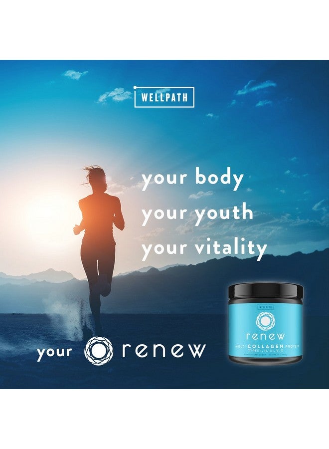 WellPath Renew Multi Collagen Protein Powder for Women | Complex Supplement - Hydrolyzed Grass-Fed Bovine, Marine, & Chicken Sources | Types I, II, III, V, X | 11 oz - Image 3