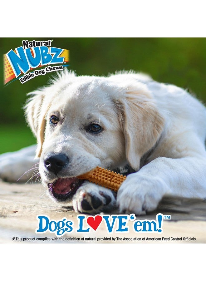 Nylabone Nubz Natural Edible Chew Treats For Puppies, Made In Usa, Turkey & Sweet Potato Flavor, Small  Up To 25 Lbs. (8 Count) - Image 5