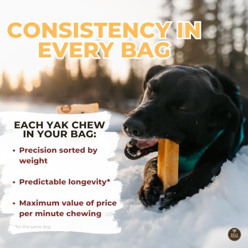 Bully Bunches Premium Fruit-Flavored Himalayan Yak Chew for Dogs - 100g, All-Natural, Long-Lasting, Authentic Yak Milk, Healthy Dental Chew, High-Protein (Medium Assorted - 4PK, Assorted) - Image 4