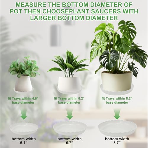 Brianver YUANAIYI 6 Packs Wave Plant Saucer - Plastic Flower Pot Drip Trays/Durable Heavy Duty White Plant Tray for Indoor and Out Door Plant(6/8/10 inch) - Image 4