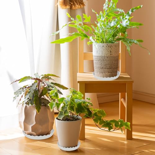 Brianver YUANAIYI 6 Packs Wave Plant Saucer - Plastic Flower Pot Drip Trays/Durable Heavy Duty White Plant Tray for Indoor and Out Door Plant(6/8/10 inch) - Image 3