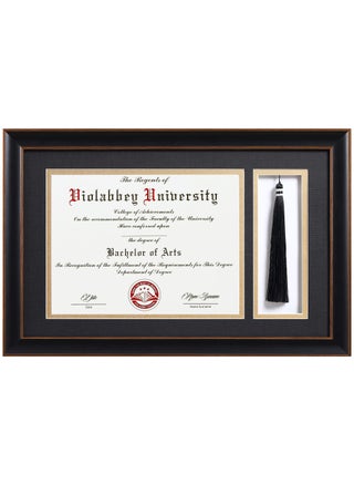 VIOLABBEY 11x17 Diploma Frame with Tassel Holder Black for 85x11 Certificates Document College Degree Frame for Wall Mounted Black Gold Double Mat - pzsku/Z36A7853E3A7FED0391E4Z/45/1749490433/c489a08d-f154-48d0-a50a-b387e6621c21