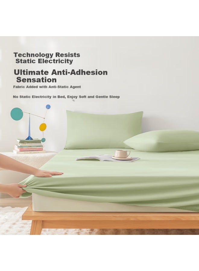 Home Small Research Bed Sheet 100g Thickened Flannel Winter Type A Bed Cover Mattress Protector 1.8m Bed Sprout Green - Image 4