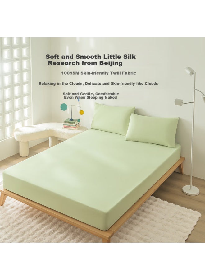 Home Small Research Bed Sheet 100g Thickened Flannel Winter Type A Bed Cover Mattress Protector 1.8m Bed Sprout Green - Image 3