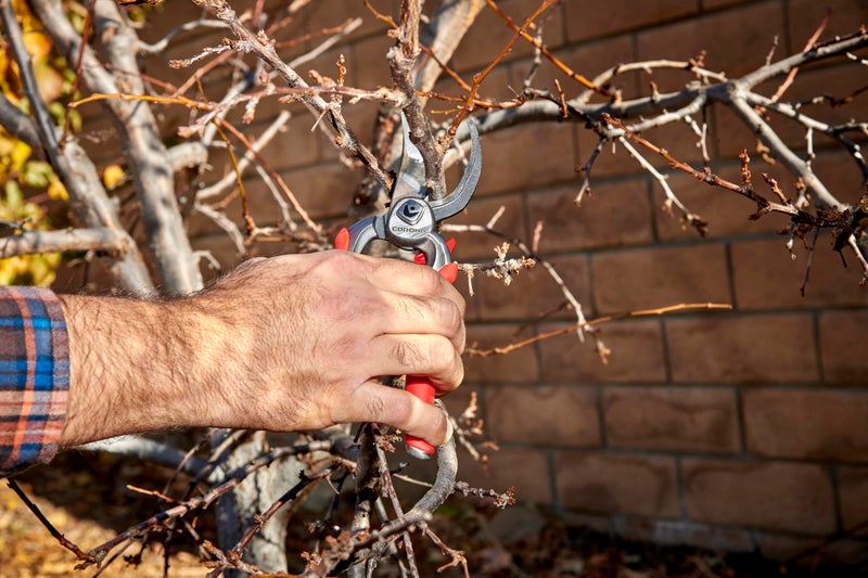 Corona Tools DualCUT Forged Steel Bypass Hand Pruner â€“ 1â€³ Cutting Capacity Garden Pruning Shears for Branch & Stem Cutting - Image 2