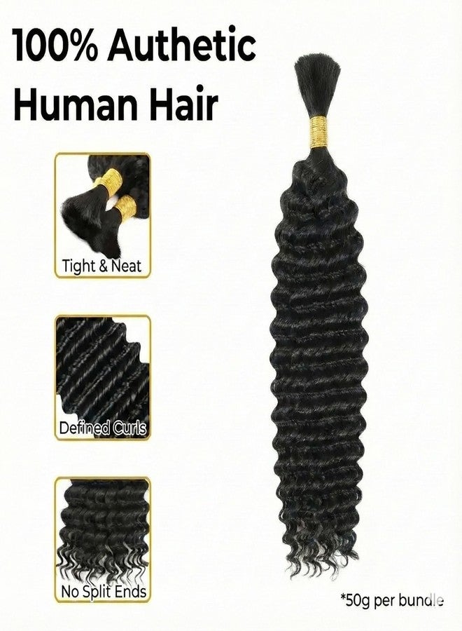 Wequeen 16A Human Braiding Hair Deep Wave 50g 16 Inch 1 Bundles/Pack 100% Unprocessed Brazilian Virgin Hair No Weft Bulk Human Hair for Braiding,Curly Hair Extensions for Boho Braids,Natural Black - Image 2