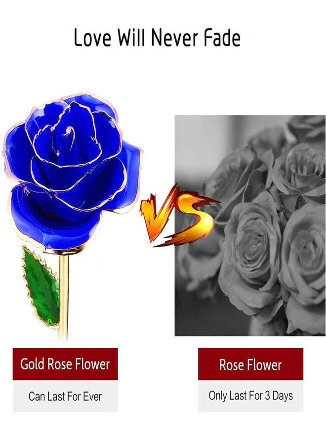 ENJOYPRO Gold Rose, Real Rose Dipped in 24K Gold, Preserved Rose Flower, Golden Dipped Rose (Blue) - Image 4