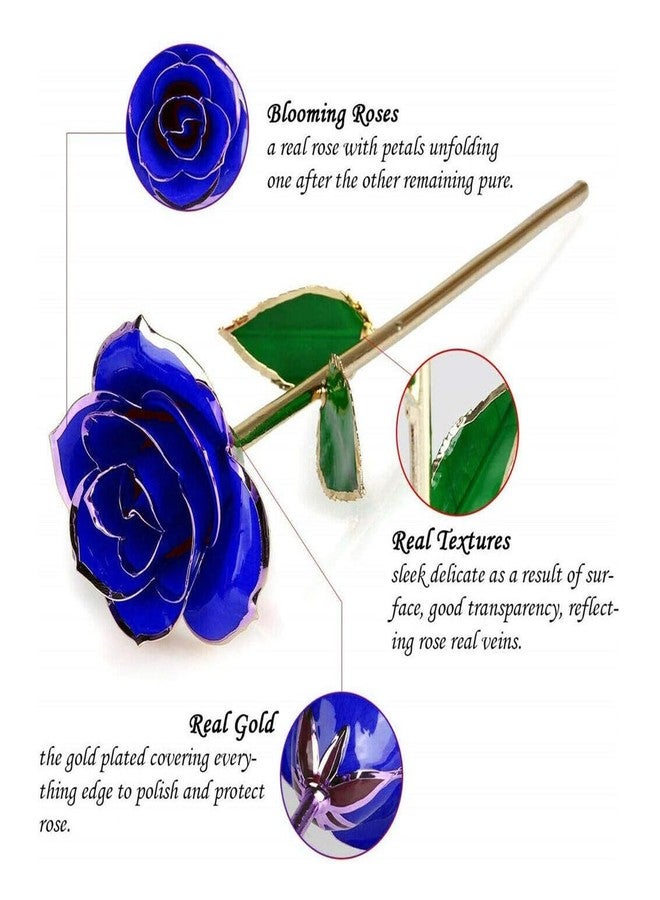 ENJOYPRO Gold Rose, Real Rose Dipped in 24K Gold, Preserved Rose Flower, Golden Dipped Rose (Blue) - Image 5