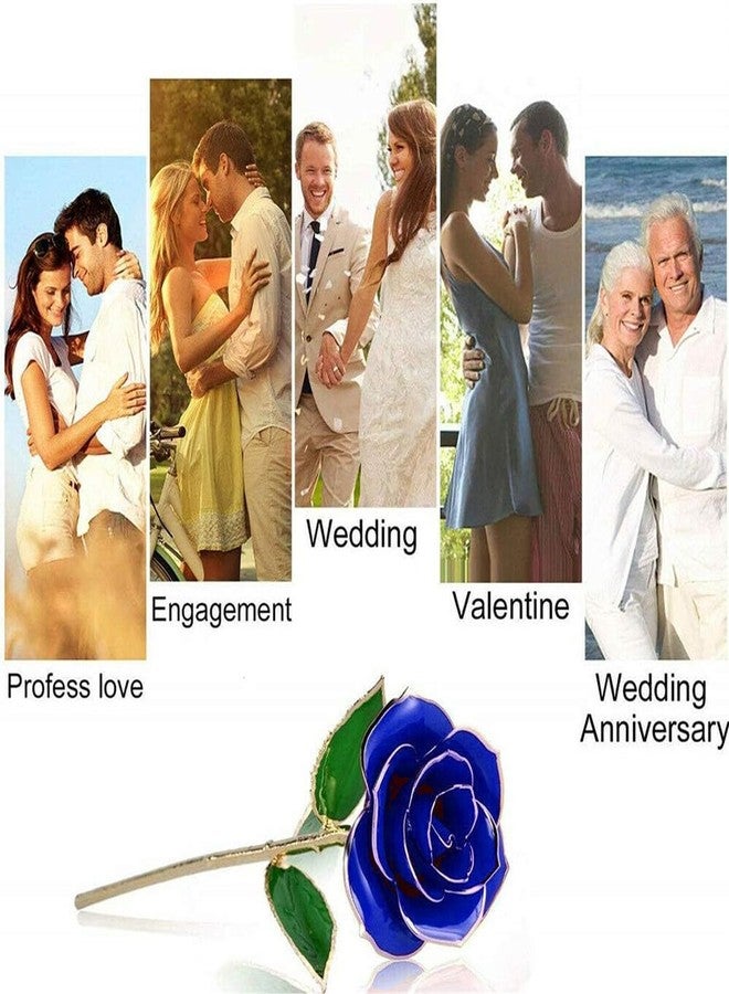 ENJOYPRO Gold Rose, Real Rose Dipped in 24K Gold, Preserved Rose Flower, Golden Dipped Rose (Blue) - Image 3