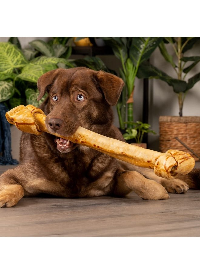 بيت فاكتوري مكافأة مضغ للكلاب مصنوعة من عظم البقر الأمريكي من Pet Factory مقاس 21 بوصة بنكهة الدجاج، 1 قطعة/عبوة واحدة  - Image 1