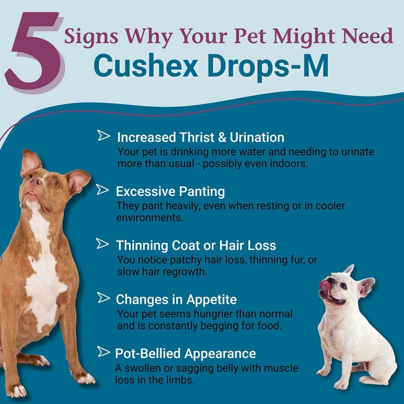 PetAlive Cushex Drops-M, Cushing's Disease Pet Supplement, 2fl oz., 59ML - Image 2