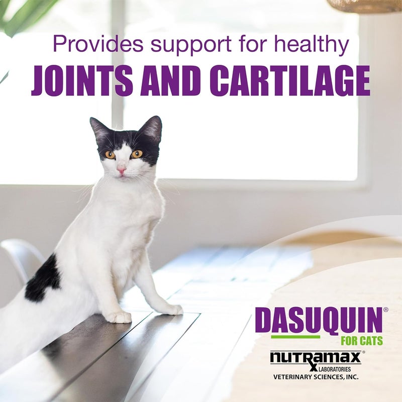Nutramax Laboratories Nutramax Dasuquin Joint Health Supplement for Cats - With Glucosamine, Chondroitin, ASU, Boswellia Serrata Extract, Green Tea Extract, and Omega-3, 84 Soft Chews - Image 3