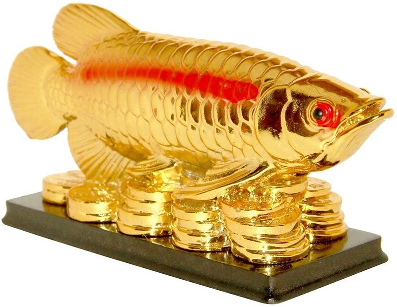 RIPE INDIA® L Feng Shui Arowana Fish Showpiece for Good Luck and Prosperity - Image 3