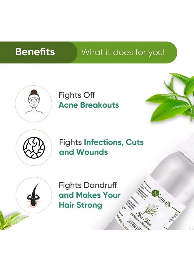 Naturalis Naturalis Tea Tree Oil for Hair, Acne, Pimples and Scar - Pure and No Dilution Tea Tree Oil - No Solvents - Ideal for Aromatherapy - 250ml  - Image 3