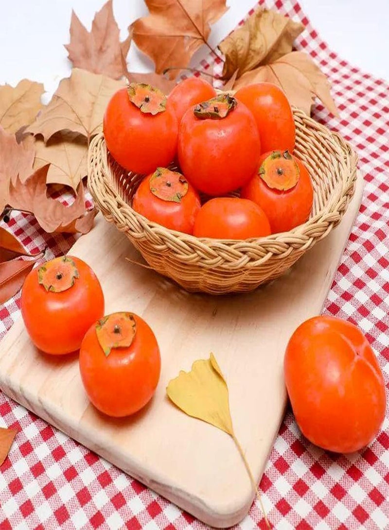 GGOOT 30pcs Heirloom Persimmon Seeds Grow Your Own Golden Round Sweet Juicy Fruit Easy to Care Unique Taste Loved by Many People - Image 1