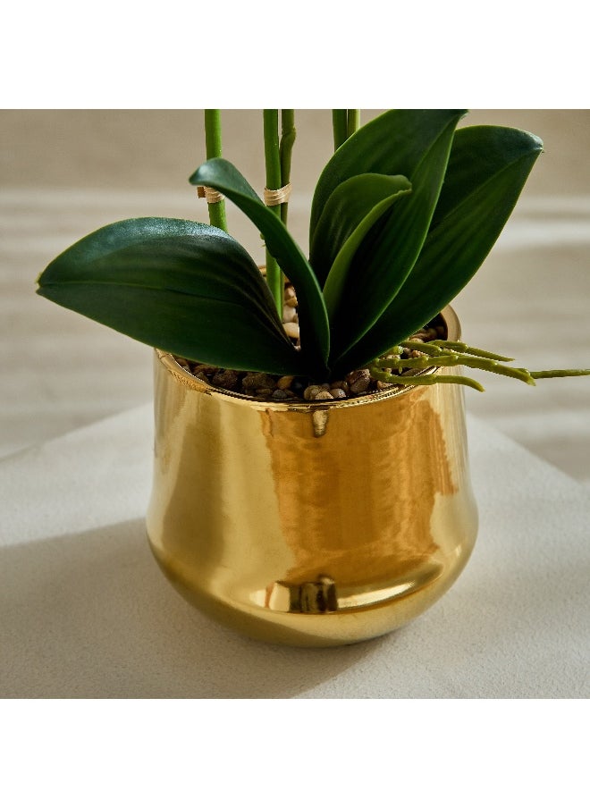 Home Box Areos Orchid Flower Arrangement with Ceramic Pot - 35x35x68 cm  - Image 3