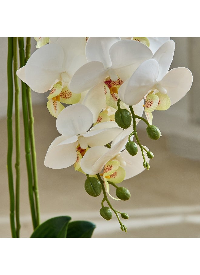 Home Box Areos Orchid Flower Arrangement with Ceramic Pot - 35x35x68 cm  - Image 2