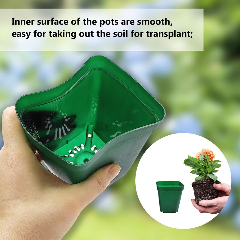 RooTrimmer Square Nursery Succulent Pots 4 Inches 60 Pcs Deep Flower Plant Nursery Seedling Grow Pots Plastic with Drainage (Green, 4Inches, 60Pcs) - Image 3