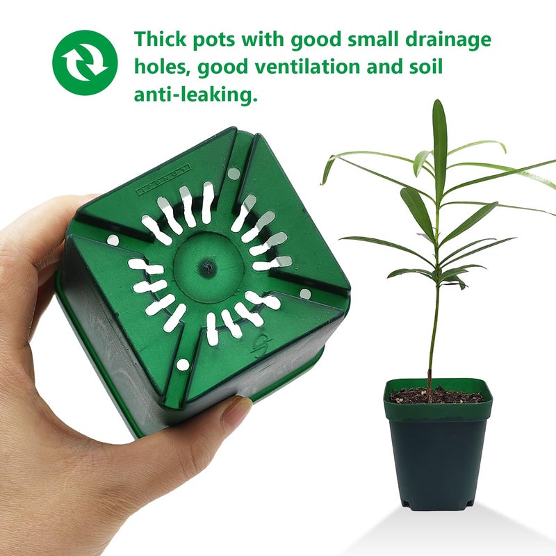 RooTrimmer Square Nursery Succulent Pots 4 Inches 60 Pcs Deep Flower Plant Nursery Seedling Grow Pots Plastic with Drainage (Green, 4Inches, 60Pcs) - Image 5