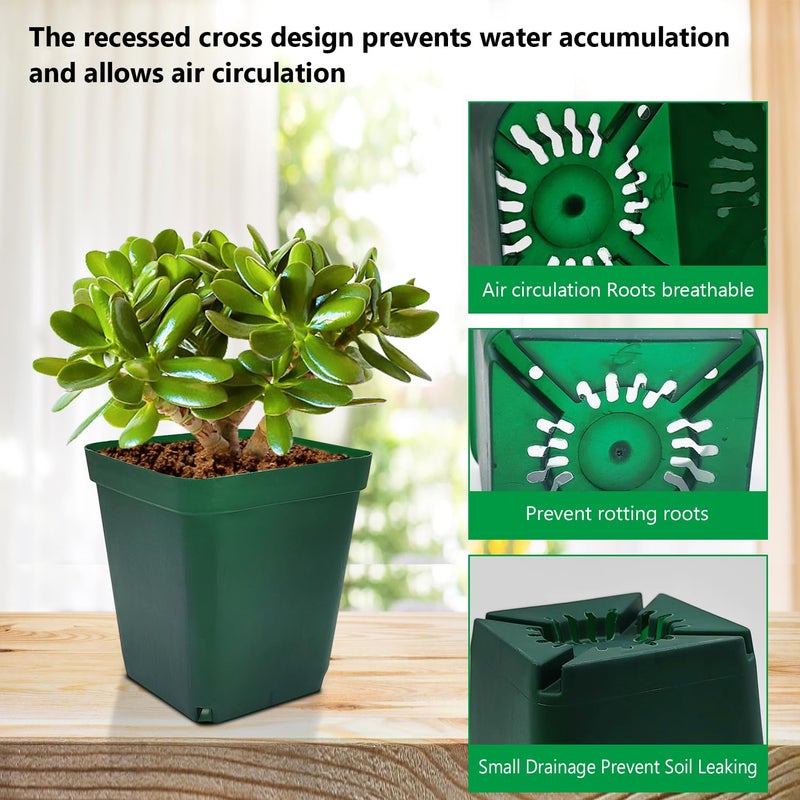RooTrimmer Square Nursery Succulent Pots 4 Inches 60 Pcs Deep Flower Plant Nursery Seedling Grow Pots Plastic with Drainage (Green, 4Inches, 60Pcs) - Image 4