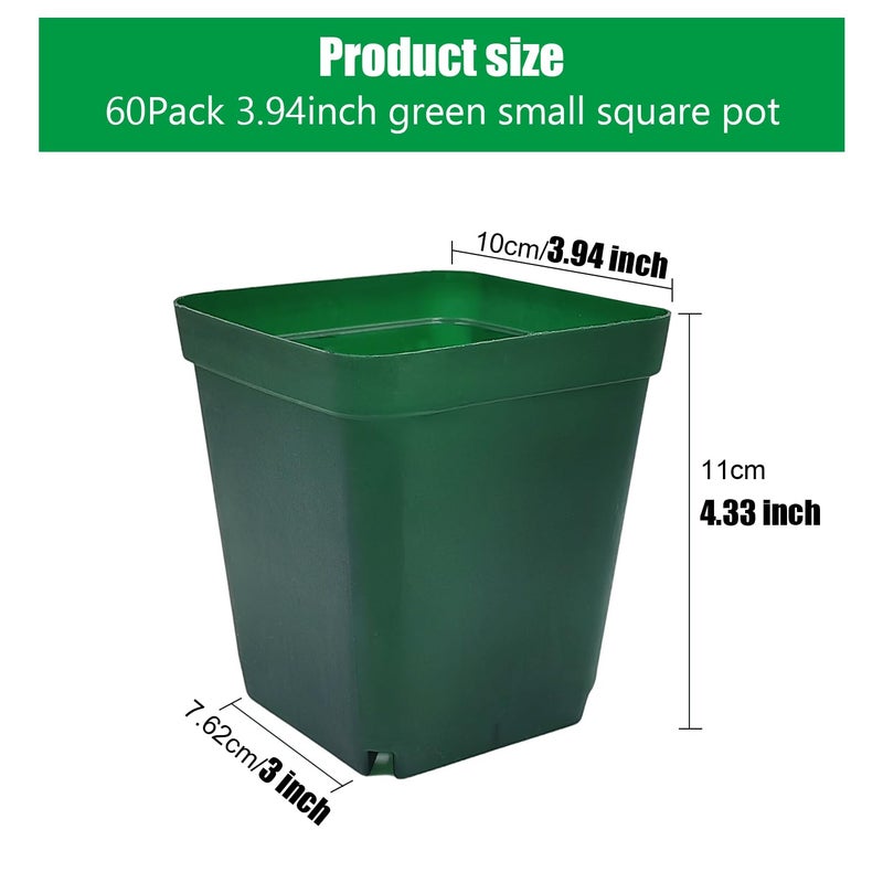 RooTrimmer Square Nursery Succulent Pots 4 Inches 60 Pcs Deep Flower Plant Nursery Seedling Grow Pots Plastic with Drainage (Green, 4Inches, 60Pcs) - Image 2