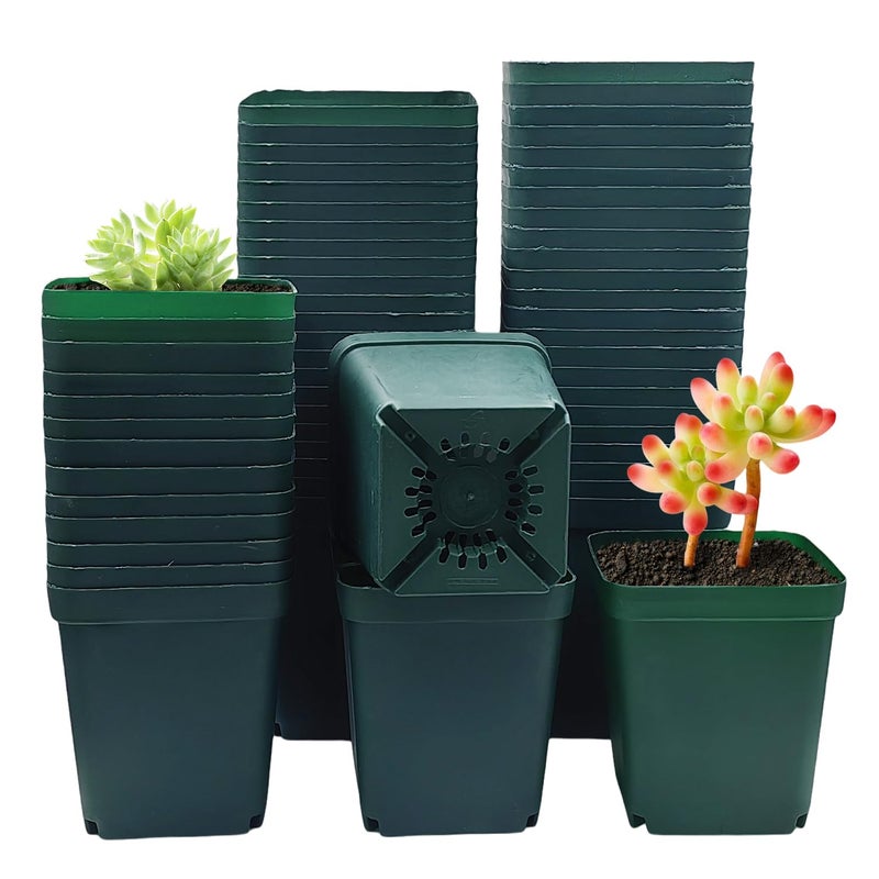RooTrimmer Square Nursery Succulent Pots 4 Inches 60 Pcs Deep Flower Plant Nursery Seedling Grow Pots Plastic with Drainage (Green, 4Inches, 60Pcs) - Image 1
