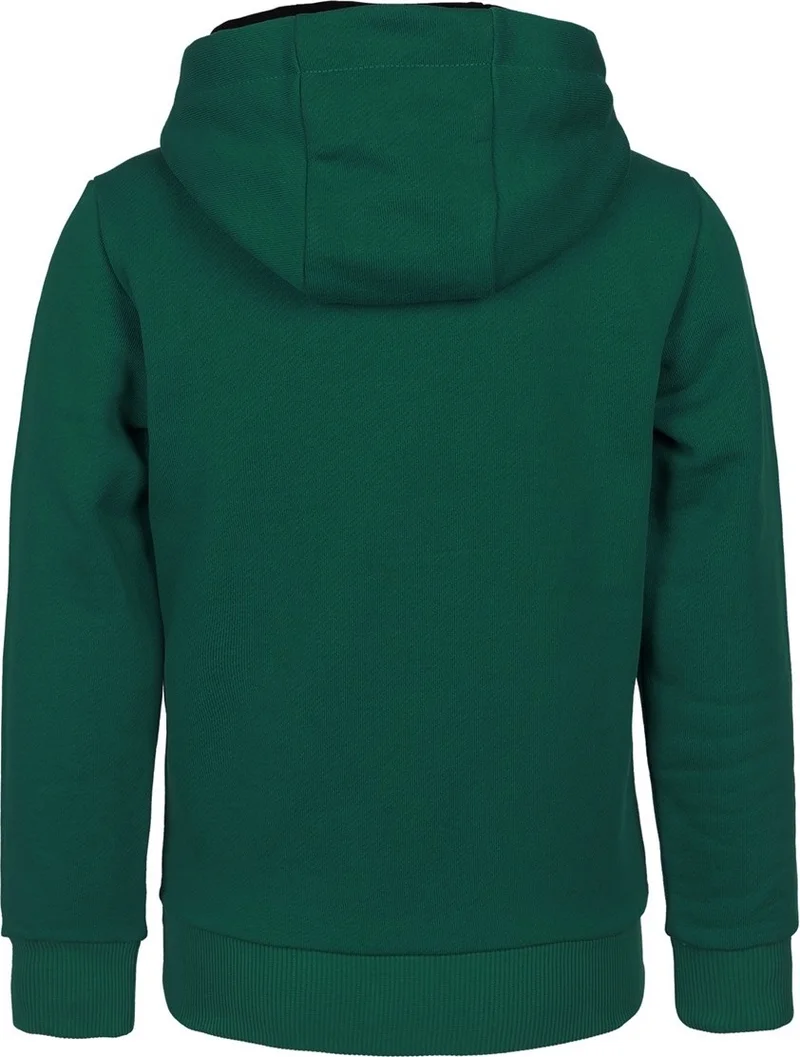 بي ار زد كولكشن Tiger Printed Boy's Hooded Sweatshirt
