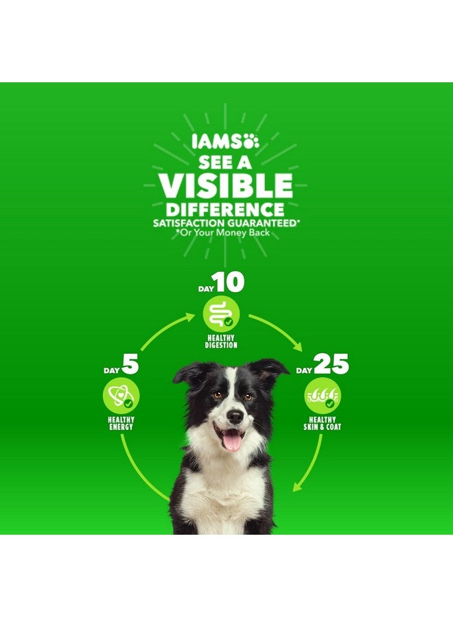 Iams Proactive Health Healthy Weight Control Adult Dry Dog Food With Real Chicken, 7 Lb. Bag - Image 2