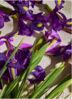 THE BODY SHOP Full Iris 75ml  - Image 3