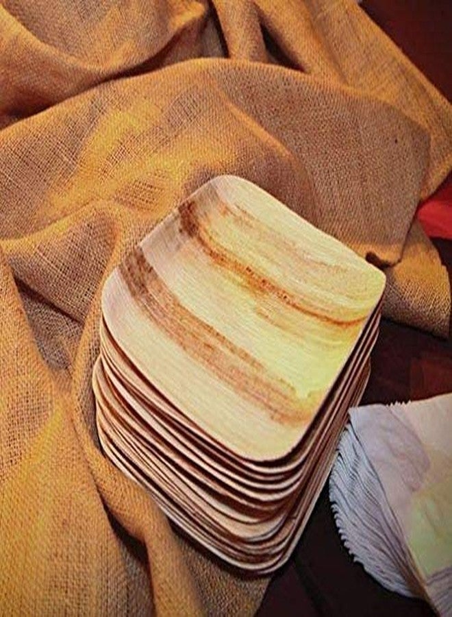 Perfectware Palm Plate 10-25 10" Palm Leaf Disposable Plates, 10" Length, 10" Width, 3.5" Height (Pack of 25) - Image 5